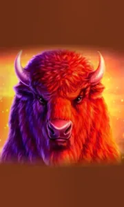 Buffalo 50